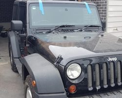 Hi Tec Windscreens Gallery