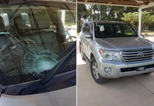 Windscreen Chip Repairs Windscreen Chip Repairs